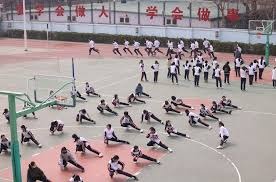 水里的：尖叫 岸上的：看起来好好玩